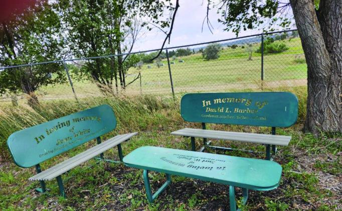 A wonderful resting or relaxing area has been created with memorial benches Photo by Shirley Pigg
