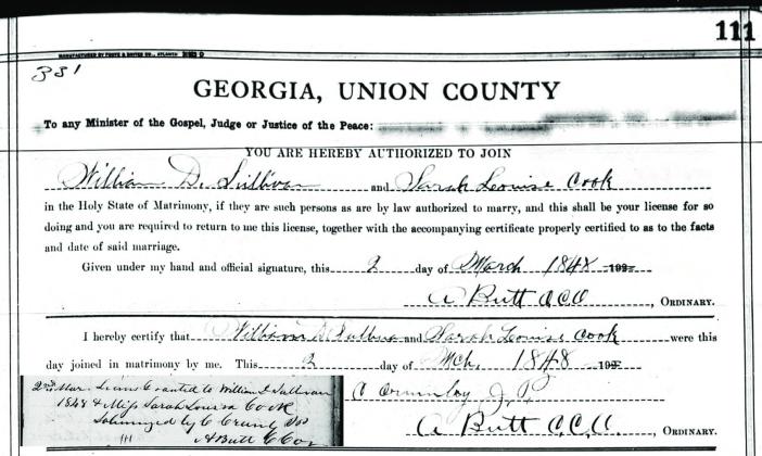 The 1871 Georgia Colony - The William Daniel Sullivan Family - Part I of III