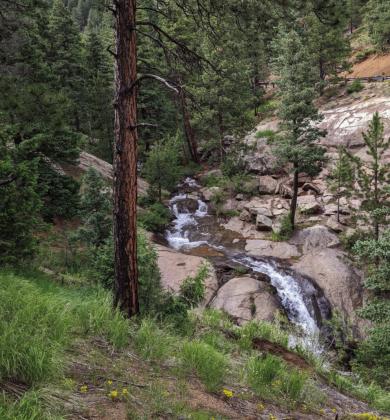 Buffalo Canyon Trail, Cheyenne Mountain Photo by Lori Kraus