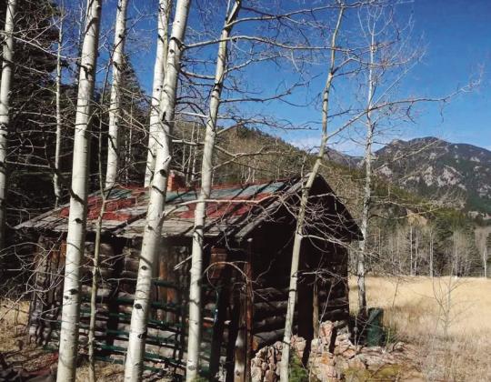 Cabin 9781 Highway 165 Courtesy Photo