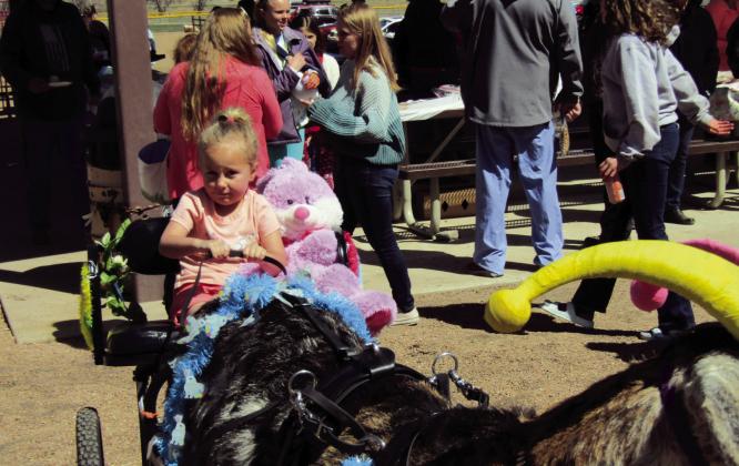 BEST PHOTOGRAPH RUNNER UP- 2022 Second Quarter Review, by Shirley Pigg. The annual VFC Easter Egg Hunt offers Goat Rides to youngsters! Photo by Shirley Pigg