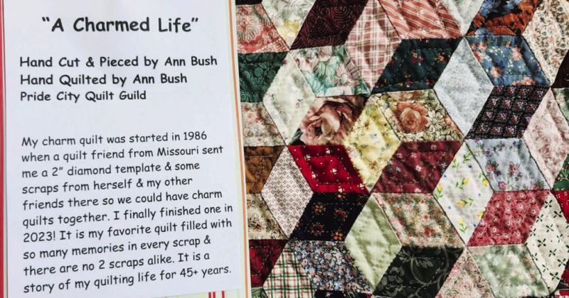 'A Charmed Life' (above) is a complex quilt hand cut, pieced and quilted by Ann Bush. Photo by Shirley Pigg