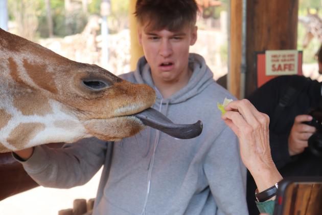 RHS at Cheyenne Mountain Zoo