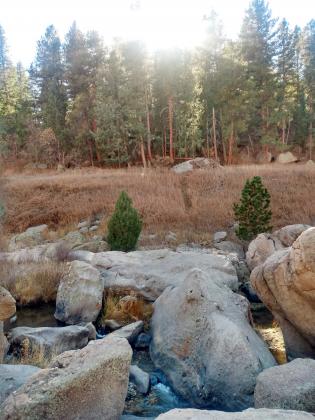 HIke of the Month - Castlewood Canyon