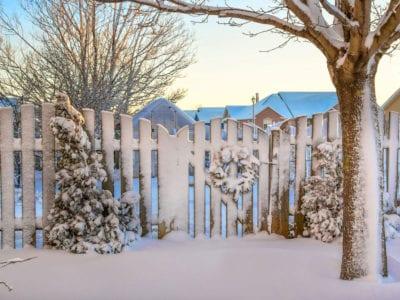 winter