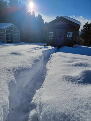 Path to the Shed, courtesy of Carly Beller