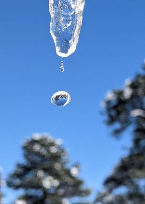 All in a droplet - photo courtesy of Deb Straub
