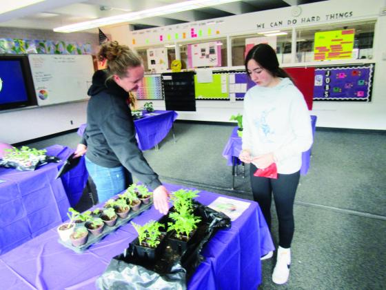 Teacher Samantha Rothschild explains the different plants available to a shopper at the Rye Elementary School Carnival. This is the first year that plants started in Harlie's Greenhouse have been offered for sale. Photo by Shirley Pigg