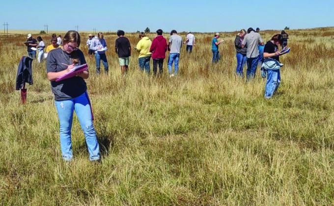 Rye High FFA Chapter Bustling with Activity