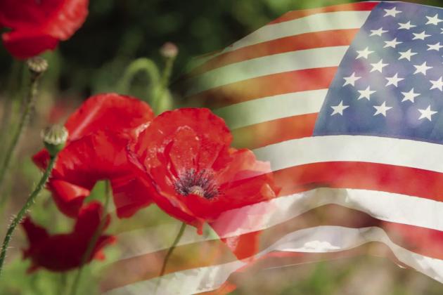The Memorial Day Poppy is worn to remember fallen soldiers. Courtesy Image
