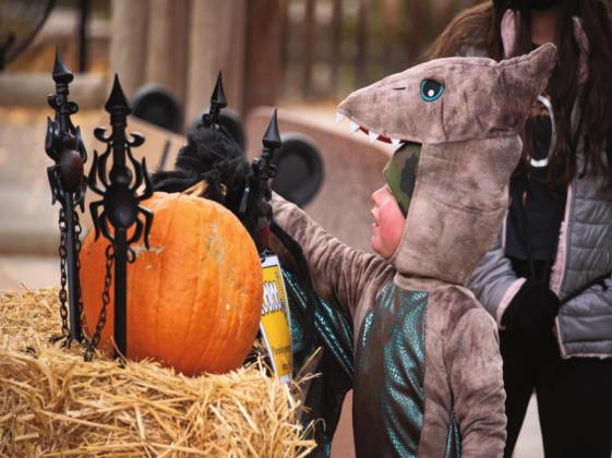 ZooBoo at the Pueblo Zoo is Halloween Fun for the Whole Family