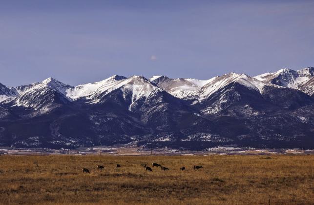 2023 Year in Review - First Quarter - Best Photo, Westcliffe, Colorado by Deb Straub Photo courtesy of Deb Straub