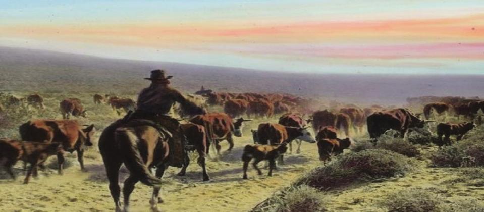 The Gallimore and Beckwith families ran cattle in the same vicinity and had an off and on feud/friendship relationship. Jim Beckwith shot Frank Gallimore during a fued over Beckwith driving away cattle that included one of Gallemore’s bulls. Courtesy Photo