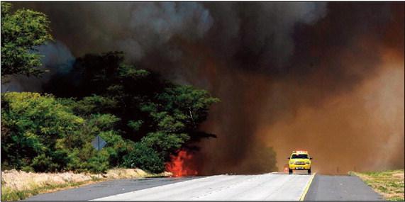 Maui Wildfire, to date, has claimed 115 lives and 400-1,100 people are still missing. Courtesy Photo