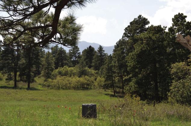 Hardin Cemetery Remains Courtesy Image
