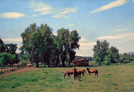 Duell Stewart Thoroughbred Ranch Courtesy Photo