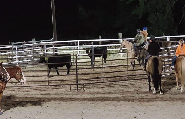 RCC Saddle Club to Host One More Team Sorting