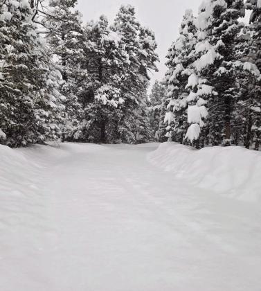 The four-day snowstorm dumped large amounts of snow in the Greenhorn Valley. Courtesy Photo