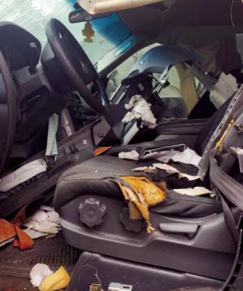 A bear is very capable of opening a car door and can do a lot of damage for a discarded candy wrapper or a bag of chips. Courtesy Photo