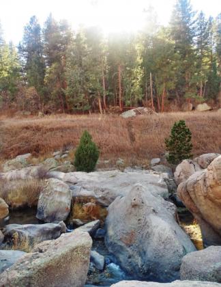 The Inner Canyon Trail at Castlewood Canyon follows a gentle stream and loops back to the Lake Gulch Trailhead. Photo by Lori Kraus