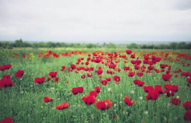 Memorial Day – A pause to Remember