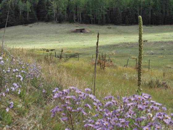 I Remains of Wixson Homestead L Reiger Courtesy Photo