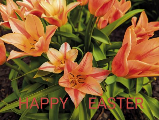 Don’t miss a Sangre de Cristo VFC Hoppy Easter at Greenhorn Meadows Park this weekend. Details on p. 4. Photo Courtesy of Deb Straub