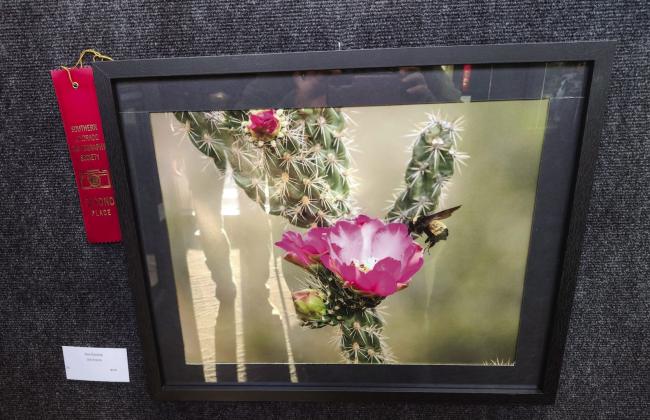 Second Place winner in the Wildlife Division was Jim Freim with Bee Careful Photo by Shirley Pigg