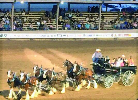 BEST PHOTOGRAPH - 2022 Third Quarter Review, by Shirley Pigg. The 2022 Colorado State Fair team and wagon. Photo by Shirley PIgg