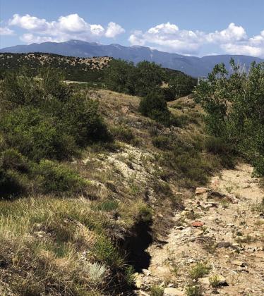 Scroggs Arroyo Courtesy Image