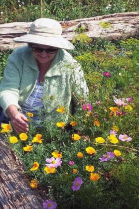 Master Gardener Margaret Barber helps at the VFC Community Gardern. Courtesy Photo