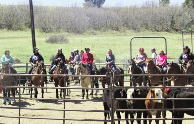 RCC Saddle Club Hosted the First Event of the 2022 Season