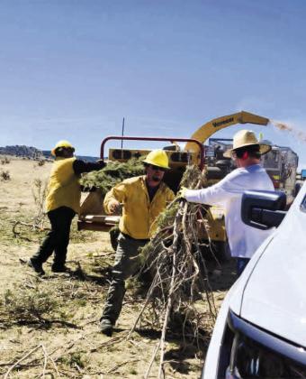 The slash chipping day was well organized on the East Hatchet Ranch; volunteer residents dragged the slash to Pueblo County Sheriff's Office workers, who fed it into their chipper. The mulch was blown into a dump trailer to be taken away. Photo by Shirley Pigg
