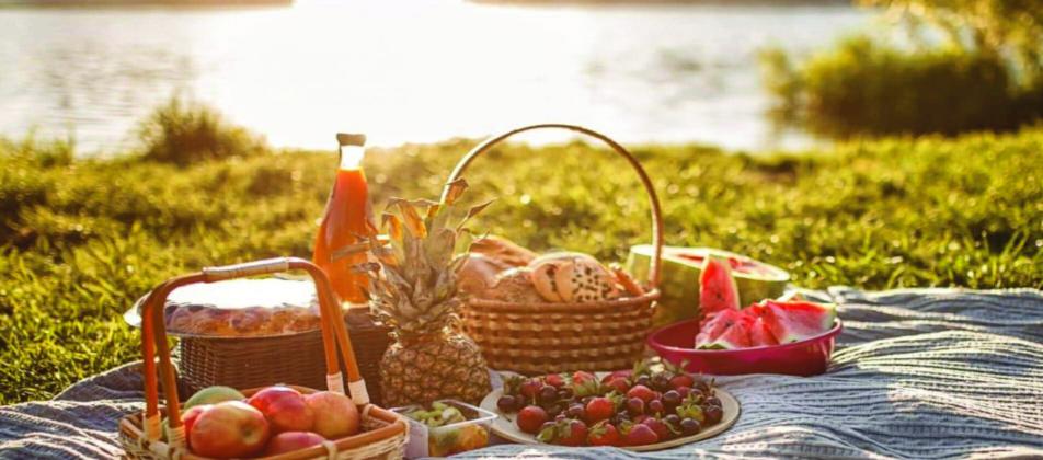Picnic Checklist - 47 Must-Bring Essentials
