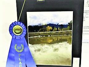 A prize-winning photograph from the display at Rye High School Art Show Photo by Shirley Pigg