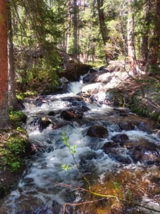 Colorado Trail #1776 crosses a mountain stream, as well as an underground stream further up Photo by Lori Kraus
