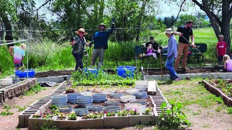 Community garden participants enjoy working together in a previous year's garden. Photo by Shirley Pigg