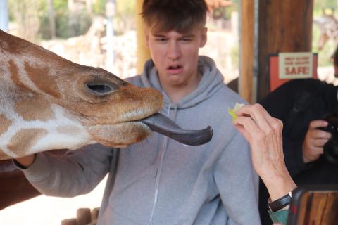 RHS at Cheyenne Mountain Zoo