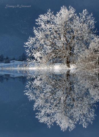 Winter in Rye, courtesy of Ginny Stewart