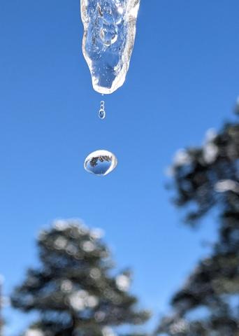 All in a droplet - photo courtesy of Deb Straub