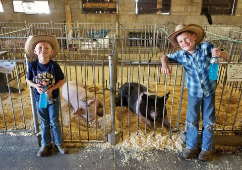 Pueblo County Fair - Scheid boys