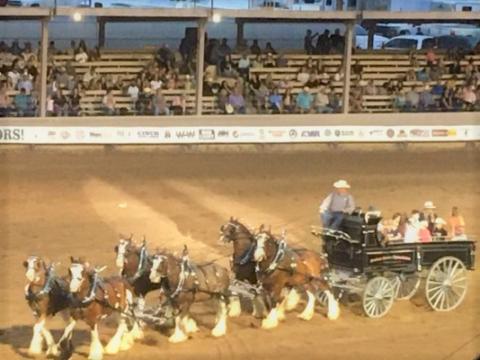 co state fair