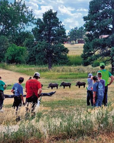 Archers in the Colorado 4-H championship archery contest examine the terrain and targets set up at Colorado City for their event. Courtesy Image