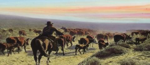 The Gallimore and Beckwith families ran cattle in the same vicinity and had an off and on feud/friendship relationship. Jim Beckwith shot Frank Gallimore during a fued over Beckwith driving away cattle that included one of Gallemore’s bulls. Courtesy Photo