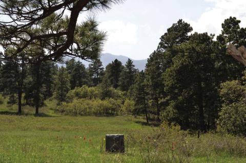Hardin Cemetery Remains Courtesy Image