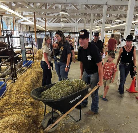 Kolby Clennin is hard at work at the Colorado State Fair Children's Barnyard as part of the Rye High School FFA Chapter Courtesy Photo