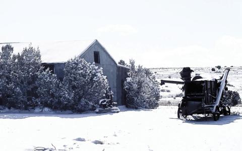 Snow Day! Up to a foot of much needed snow accumulated Thursday afternoon into Friday of last week to the delight of many Greenhorn Valley residents. Photo by Shirley Pigg