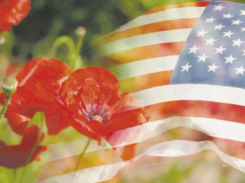 Memorial Day 2025
