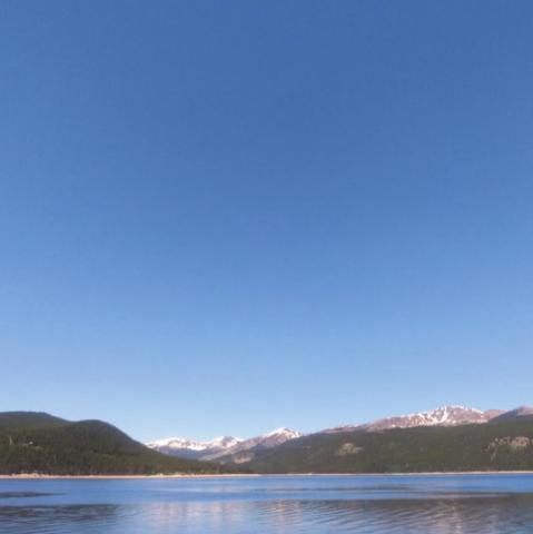 Alt Text for Image