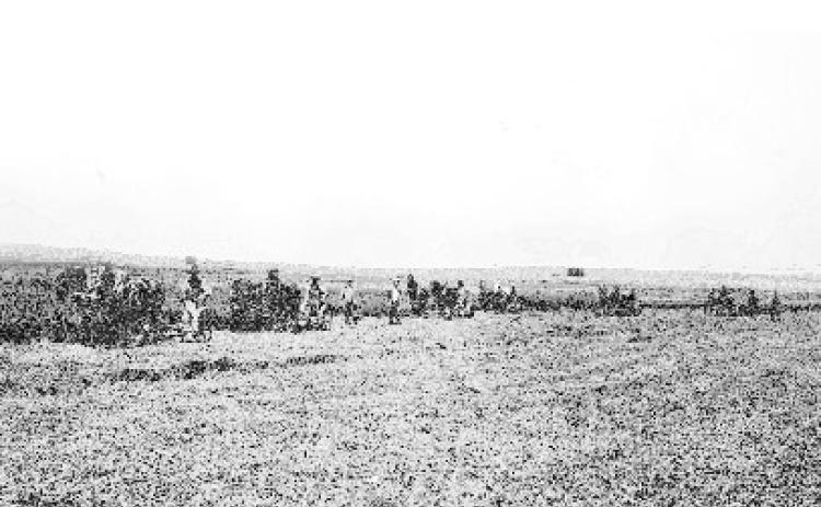 1910 Alfalfa Field Courtesy Photo